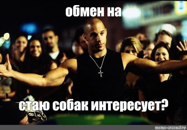 Добро пожаловать в семью Доминик