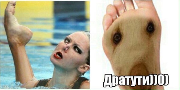 Дратути Мем собака