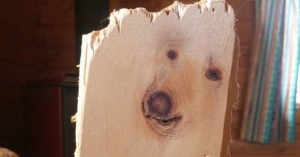 Собака дратути