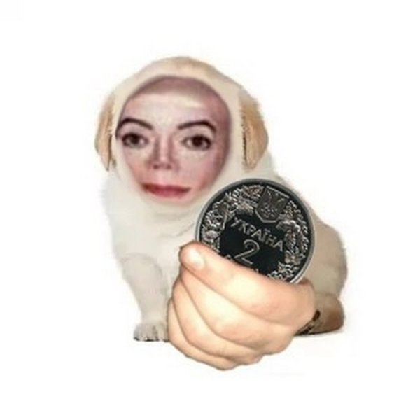 Держитесь с собакой