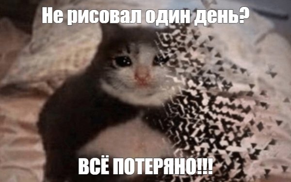 Ты чего наделал Мем с котом