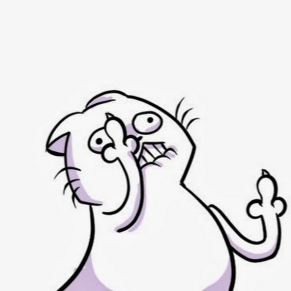 Котик показывает фак