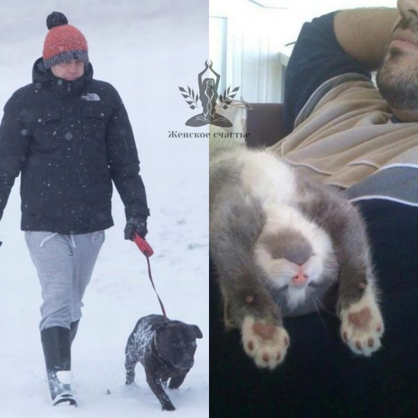 Утро собачника и кошатника