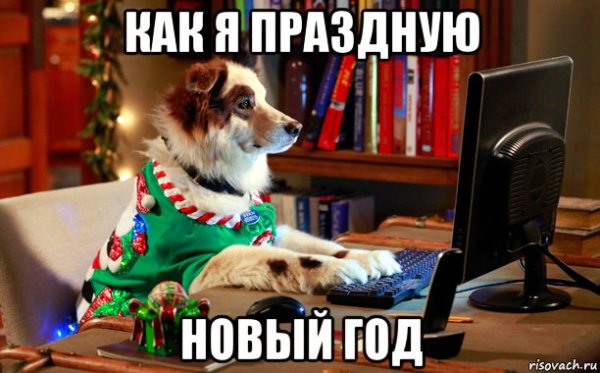 Новогодний пес Мем