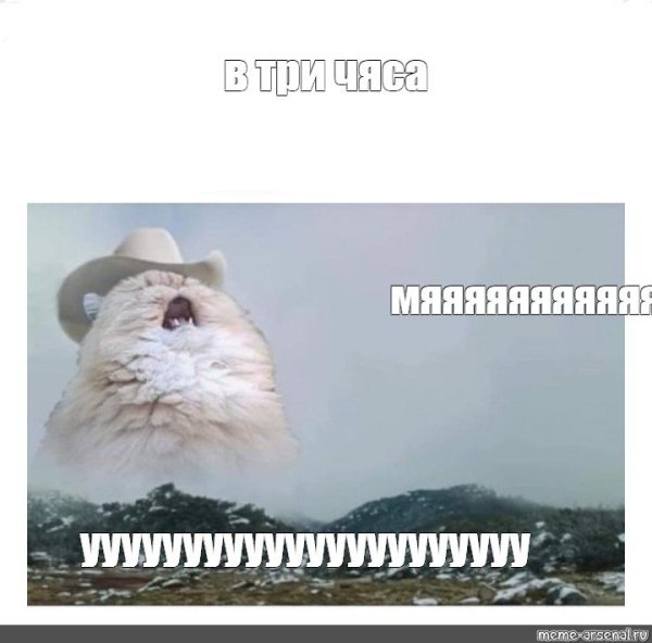 Приемлемо Мем