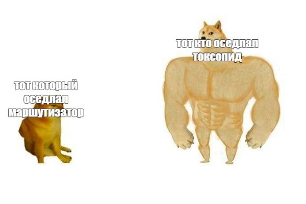 Пес с мышцами Мем