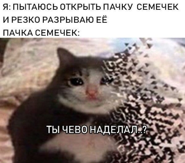 Ты чего наделал