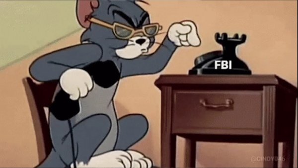 Кот том в очках