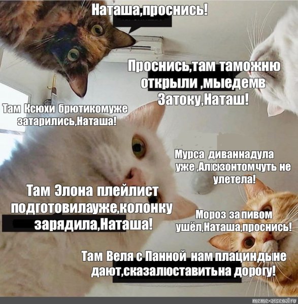 Наташа Проснись Мем