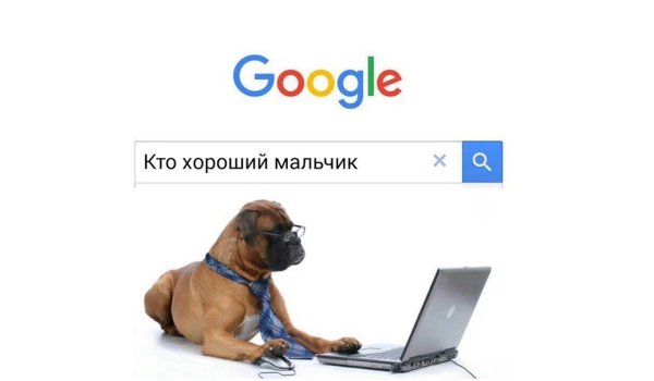 Кто хороший мальчик собака