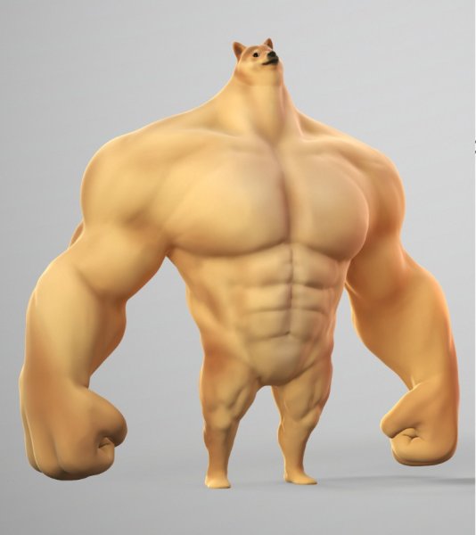 Мускулистый доге