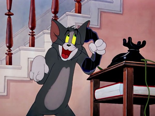 Том с телефоном