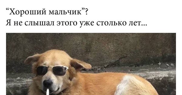 Кто хороший мальчик