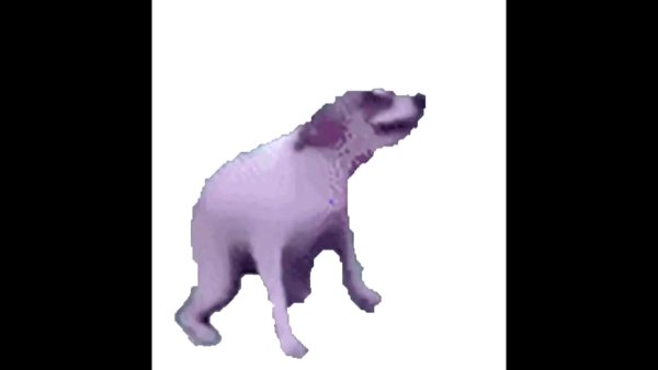 Танцующая собака гифка без фона