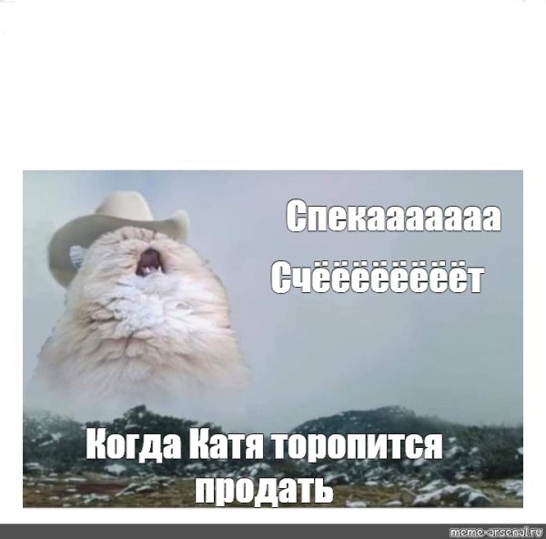 Орущий кот Мем