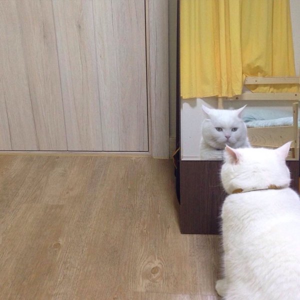 Куда пропала радость из моих глаз