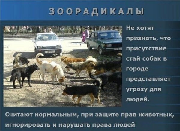 Шутки про зоозащитников