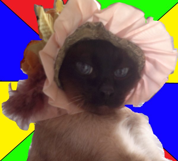 Кот Мем мяу