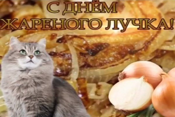 Открытки с тупыми праздниками