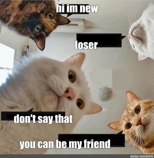 Наташа вставай