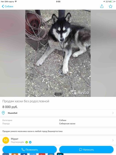 Смешные объявления о продаже животных