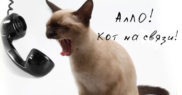 КРТ С трубкой телефона