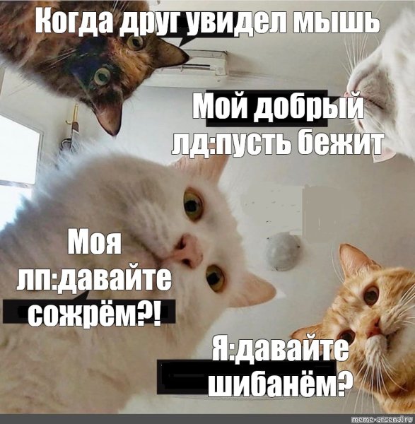 Сережа вставай мы все уронили