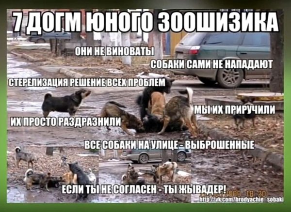 Защитники животных и зоошиза