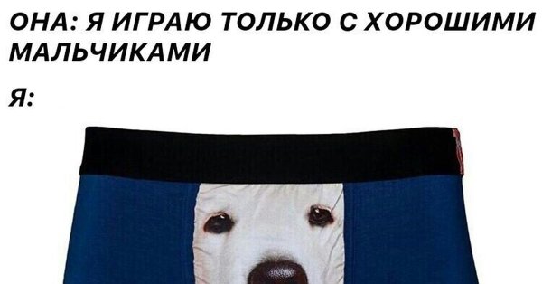 Хороший мальчик собака Мем