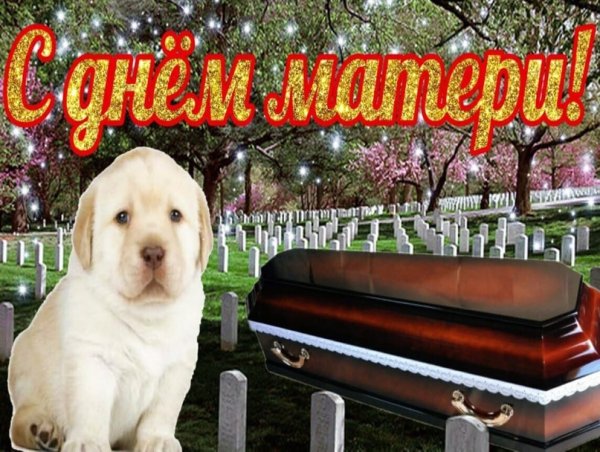 С днем шифера