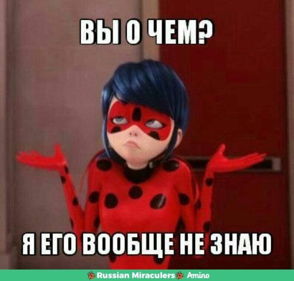 Супер кот мемы