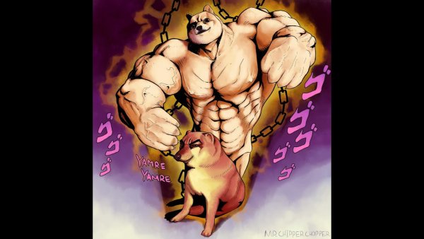 Джоджо собака доге и Чимс