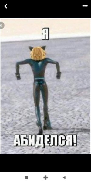 Супер кот Мем