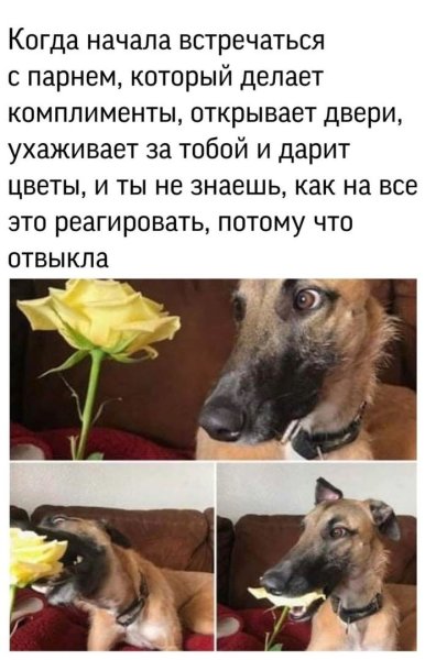 Мемы комплименты