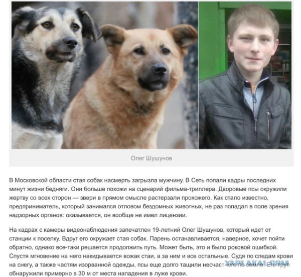 Олег Шушунов