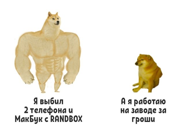 Собака качок из мема