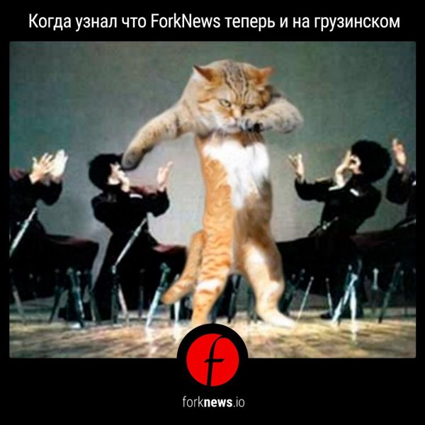 Котенок танцует