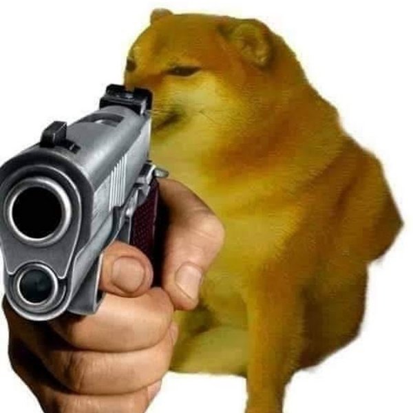 Собака с оружием