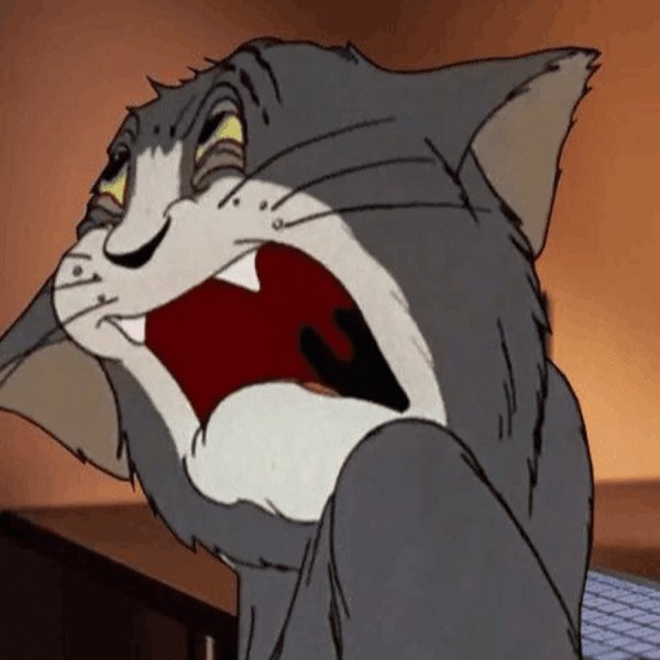 Кот том и Джерри