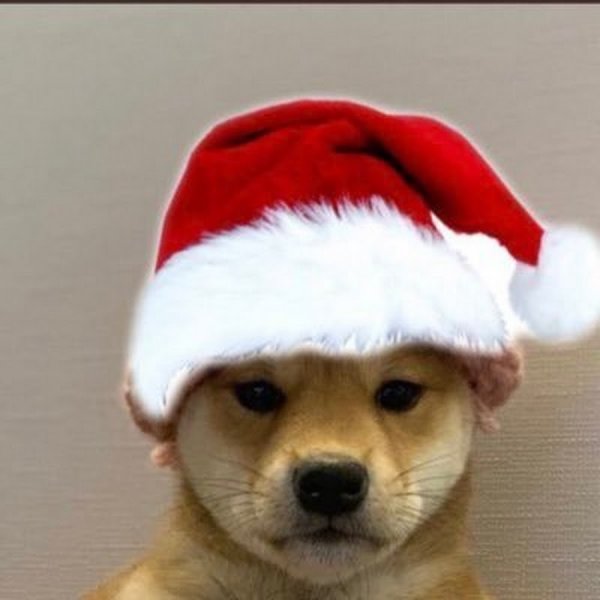 Фото мема собаки на новый год