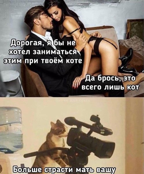 Страсть юмор