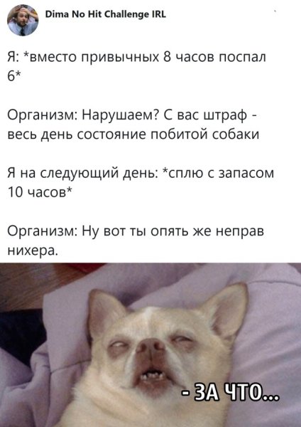 Поспал 4 часа