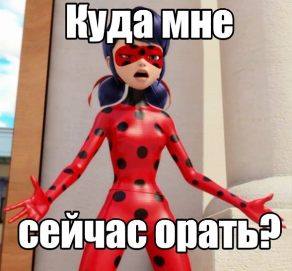 Леди баг и супер кот смешные картинки