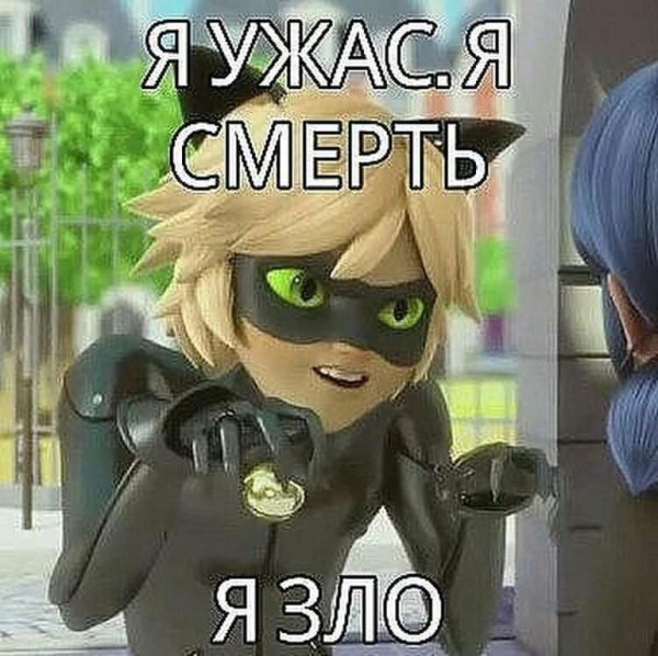 Супер кот мемы