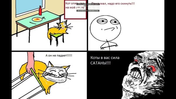 Смешные коты мемы