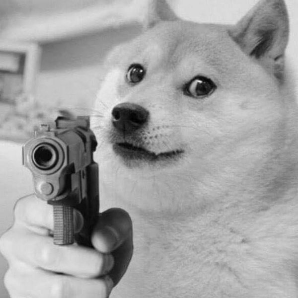 Доги мемы с пистолетом
