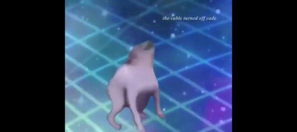 Собака Dance till you're Dead