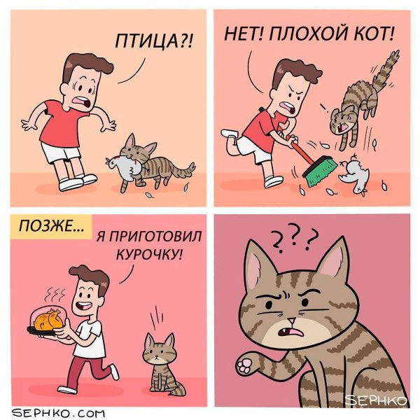 Смешные мемы про котов