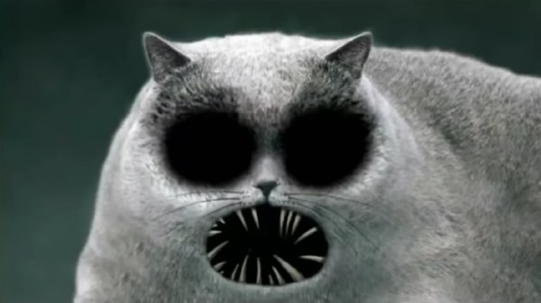 Злоключения Флэпджека кошка