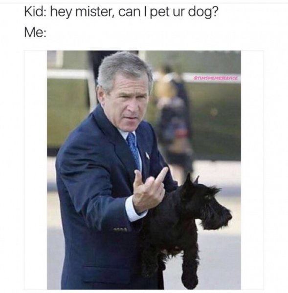 Буш младший мемы